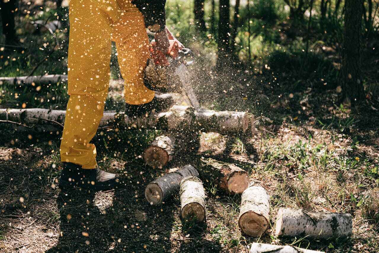 Pueblo West, CO Tree Service Company